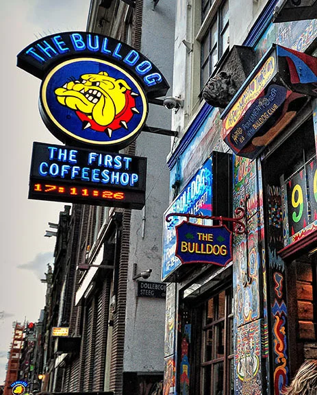 The Bulldog The First: A Bar in Amsterdam, Noord-Holland - Thrillist