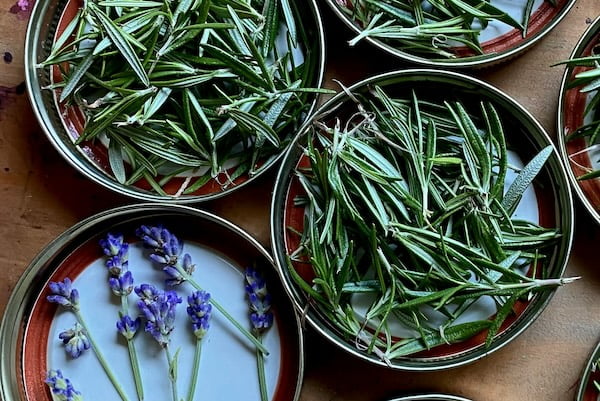 Substitut de tabac : Et si vous passiez aux plantes à fumer ?