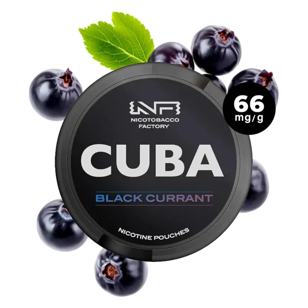 CUBA Snus Black Current (cassis) - 66mg de nicotine